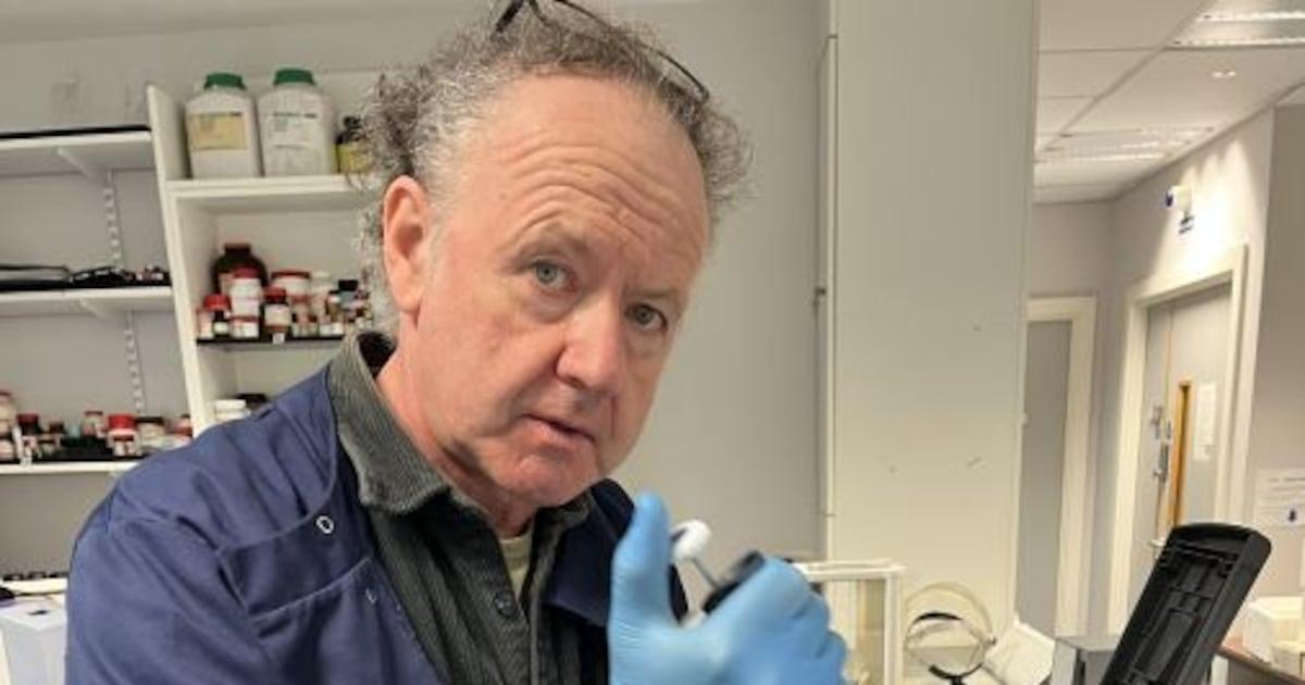 Nanoplast can contribute to the increase in Alzheimers disease, says TCD research - Irish times