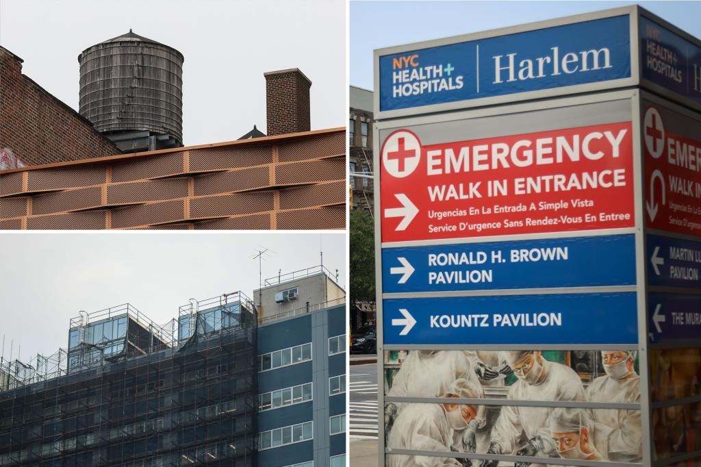 There reliquorum |NYC EXIGIT LEGIENIGENCES THE LEGIOUOUND CARE UT HARLEAM STURMS
