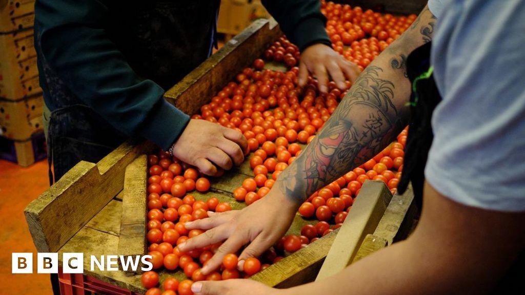 Trumps tariffs: How to respond worldwide?