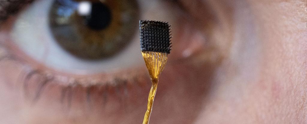 This incredible brain infiltration can determine the internal thought as a speech: